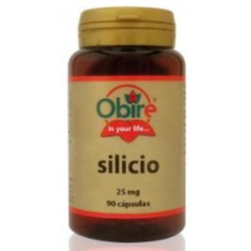 SILICIO 25mg. 90cap.