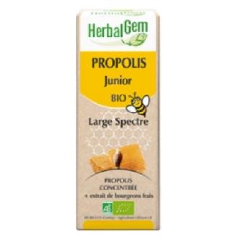 PROPOLIS JUNIOR gotas 15ml.