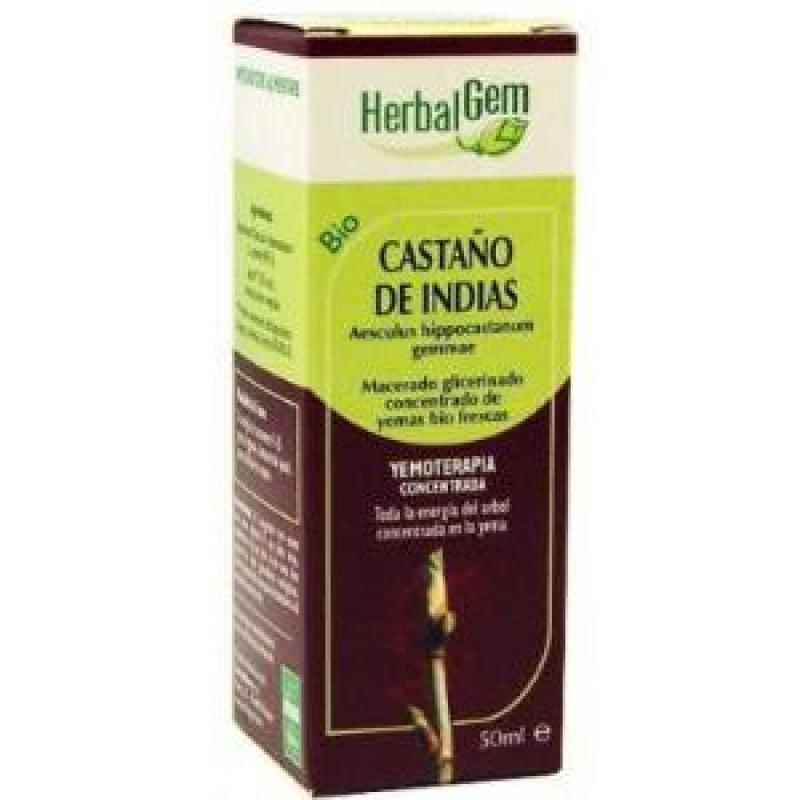 CASTAÑO DE INDIAS macerado glicerinado 50ml.