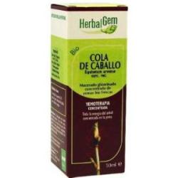 COLA DE CABALLO macerado glicerinado 50ml.