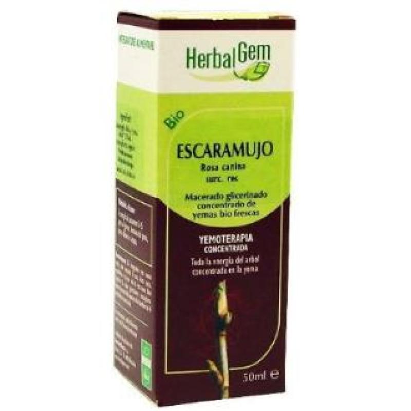 ESCARAMUJO (rosal silv) macerado glicerinado 50ml.