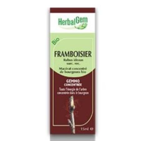 FRAMBUESO macerado glicerinado 15ml.