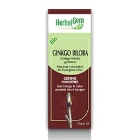 GINKGO BILOBA macerado glicerinado 50ml.