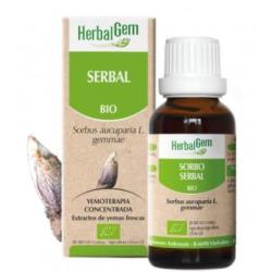 SERBAL macerado glicerinado 50ml.