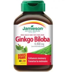 GINKGO BILOBA 90comp.