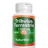 TRIBULUS TERRESTRIS 60cap.