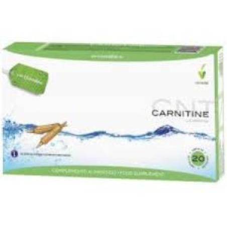 L-CARNITINA 20viales