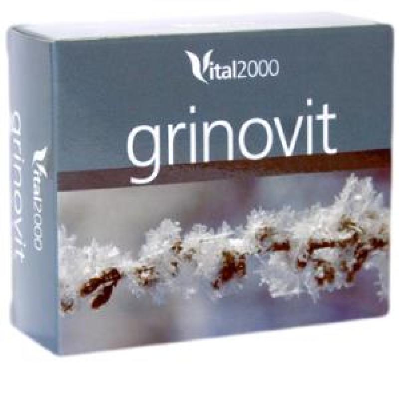 GRINOVIT 60comp.