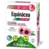 FITOSOL RETARD echinacea 30comp.