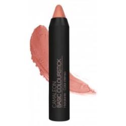 CAMALEON BASIC COLOURSTICK nude 4gr.