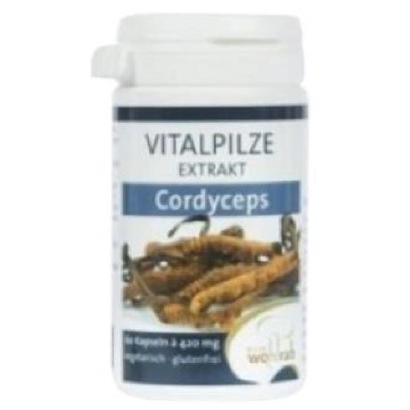 CORDYCEPS 60cap.