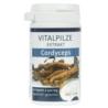 CORDYCEPS 60cap.