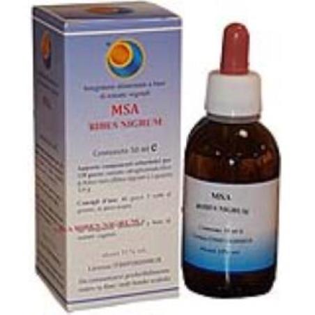 MSA RIBES NIGRUM yemas grosellero negro 50ml.