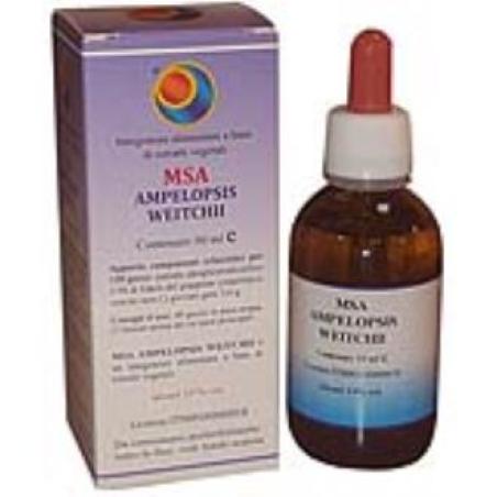 MSA AMPELOPSIS WEITCHII jovenes brotes 50ml.