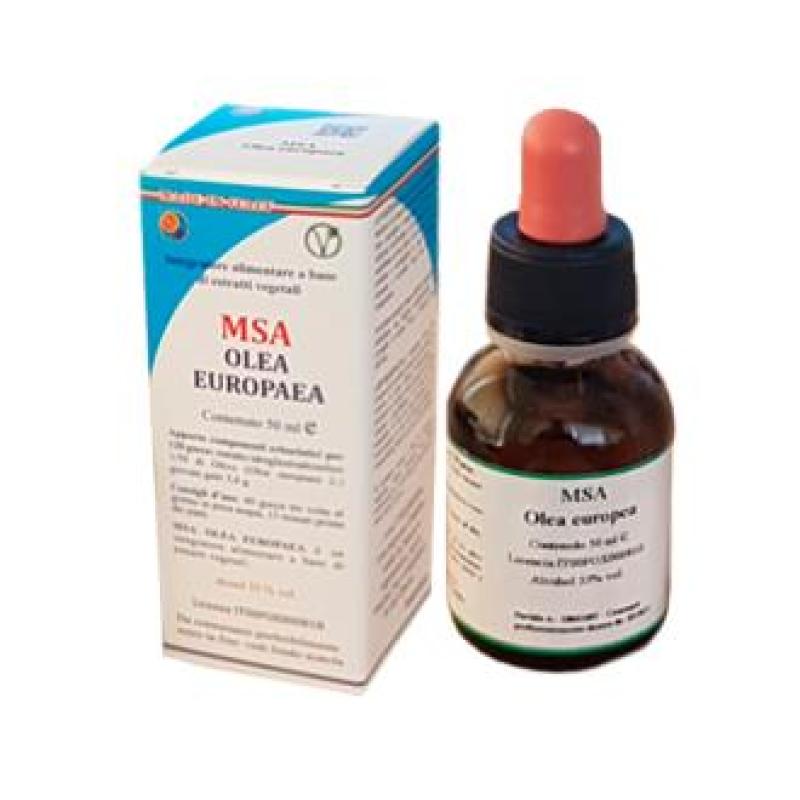 MSA OLEA  EUROPAEA brotes jovenes 50ml.