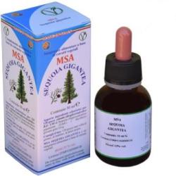 MSA SEQUOIA GIGANTEA 50ml.