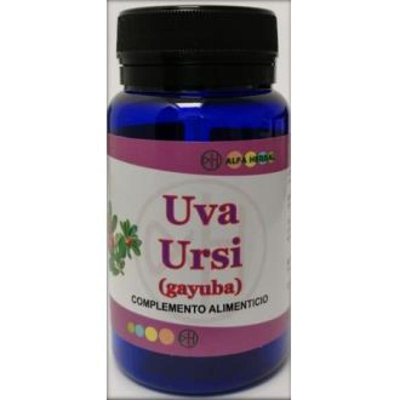 UVA URSI gayuba 60cap.