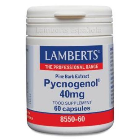 PYCNOGENOL 40 mg.(extracto de PINO BARK) 60 cap.