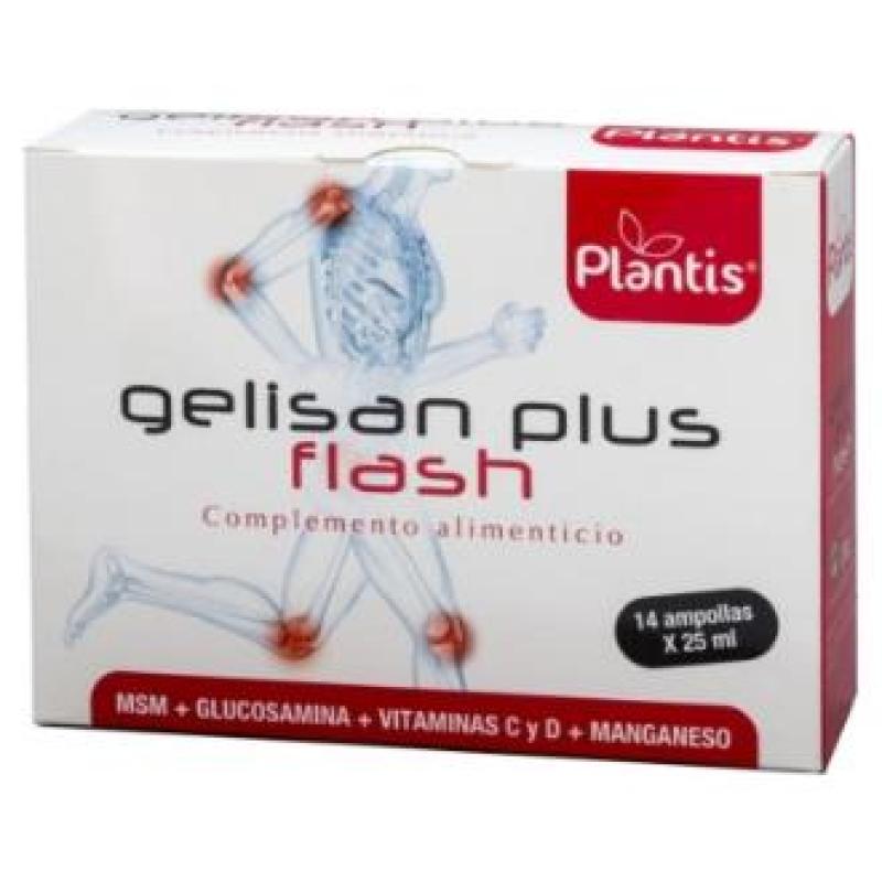 GELISAN PLUS FLASH 14amp.