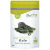 KALE RAW col rizada 120gr. BIO