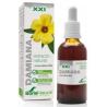 EXT. DAMIANA XXI 50ml. s/al