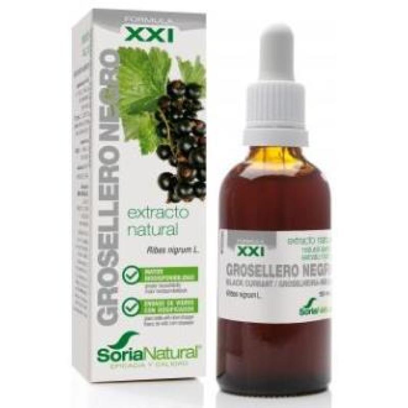 EXT. GROSELLERO NEGRO XXI 50ml. s/al