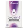 PROBICAND 20cap.