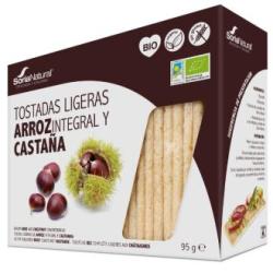 TOSTADAS DE ARROZ Y CASTAÑA 95gr. BIO