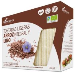 TOSTADAS DE ARROZ integral Y LINO 85gr. BIO