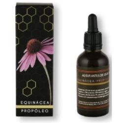 EXTRACTO ECHINACEA-PROPOLIS 50ml.