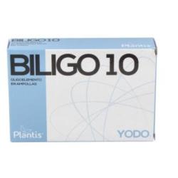 BILIGO 10 (Yodo) 20amp