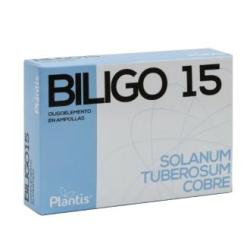 BILIGO 15 20amp