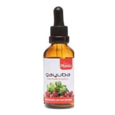 EXT.GAYUBA 50ml MAESE HERBARIO