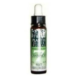 REMEDIO PLANTIS Nº 7 CANSANCIO 10ml. ECO