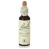 FLORES BACH CENTAURY centaura menor 20ml.