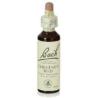 FLORES BACH CHESTNUT BUD brote castaño 20ml.