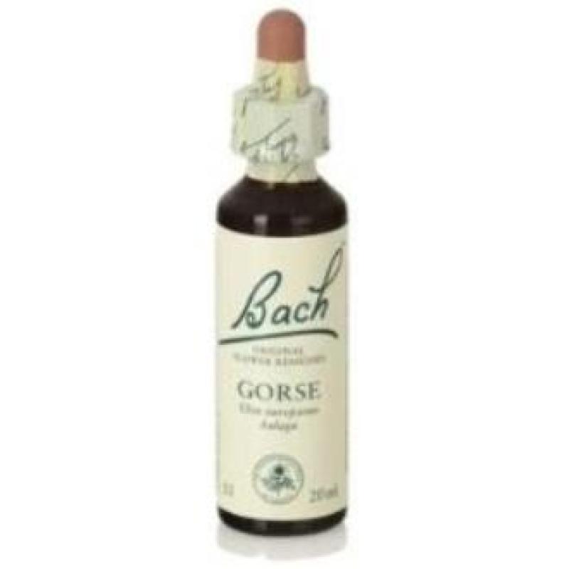 FLORES BACH GORSE aulaga 20ml.