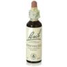 FLORES BACH HONEYSUCKLE madreselva 20ml.