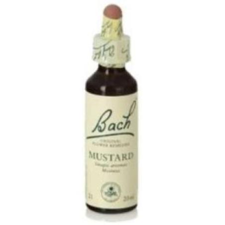 FLORES BACH MUSTARD mostaza 20ml.