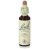 FLORES BACH OAK roble 20ml.