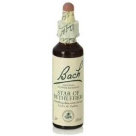 FLORES BACH STAR OF BETHLEHEM leche gallina 20ml.