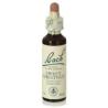 FLORES BACH SWEET CHESTNUT castaño dulce 20ml.