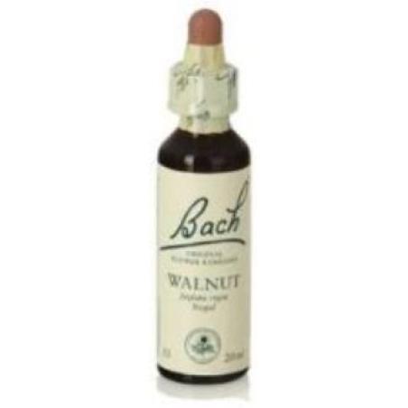 FLORES BACH WALNUT nogal 20ml.