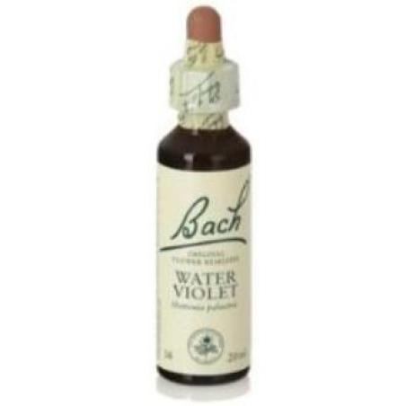 FLORES BACH WATER VIOLET violeta agua 20ml.