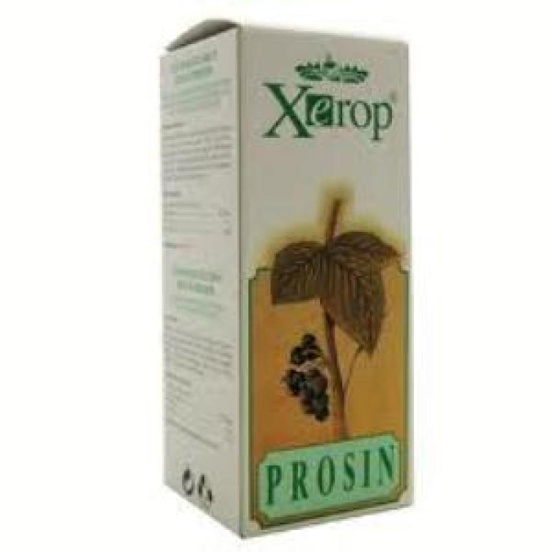 PRO16 PROSIN jarabe 250ml