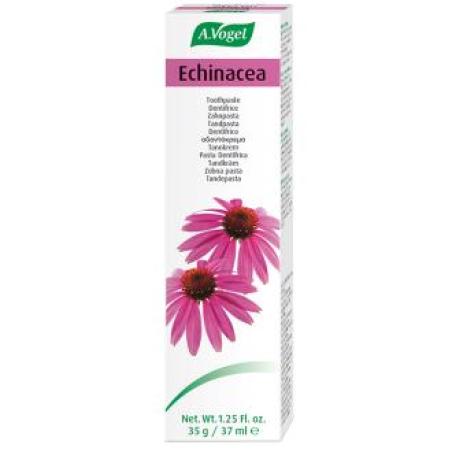 DENTAFORCE ECHINACEA pasta 100gr.