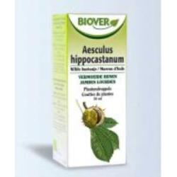 EXT. AESCULUS HIPPOCASTANUM (castaño)  50ml.