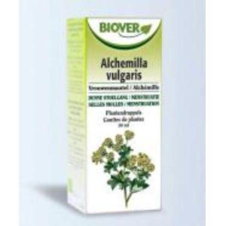 EXT. ALCHEMILLA VULGARIS (alchemilla)  50ml.