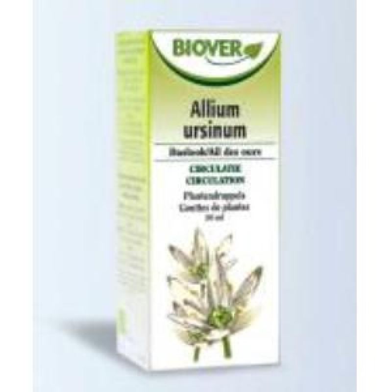 EXT. ALLIUM URSINUM (ajo silvestre)  50ml.