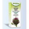 EXT. ARCTIUM LAPPA (bardana)  50ml.